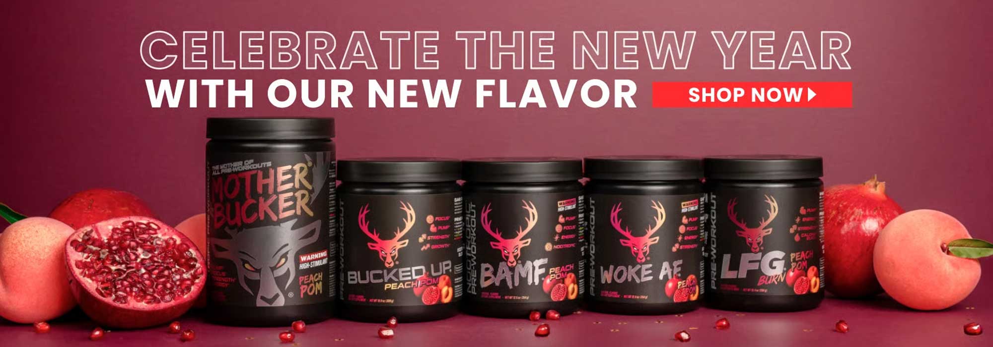 Master-Slide-Bucked-Up-2