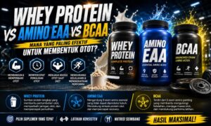 Read more about the article Whey Protein vs Amino EAA vs BCAA: Mana yang Paling Efektif untuk Membentuk Otot?